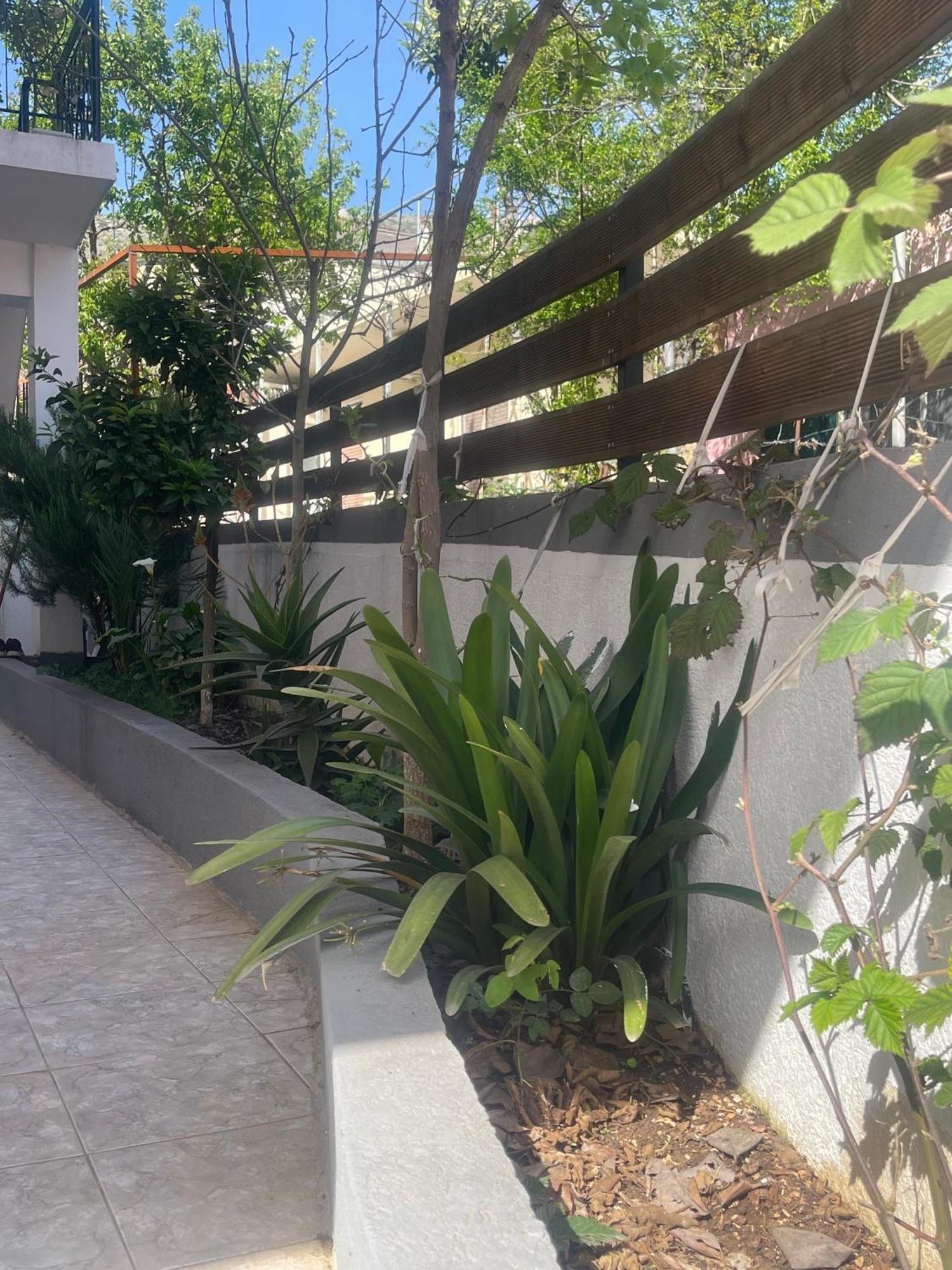 Sunflower Apartments ซารานเดอ ภายนอก รูปภาพ